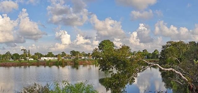 A Paradise for Bird Lovers: Venice Area Audubon Society