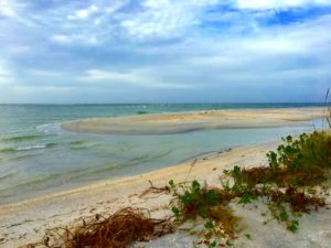 6-Riding-the-Waves-Beach