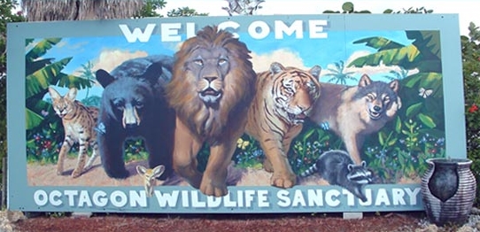 Octagon Wildlife Sanctuary