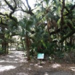 Rothenbach Park in Sarasota