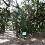 Rothenbach Park in Sarasota