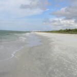 This is paradise!