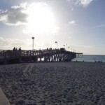 A visit to Venice Pier is a must