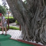 Play some miniature golf