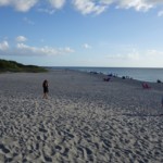 Venice Beach is amazing