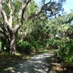 Pinebrook Park in Venice