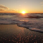 06_Manasota Beach Venice