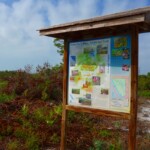 Lemon Bay Preserve Venice