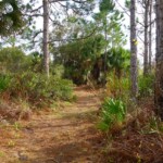 Lemon Bay Preserve Venice