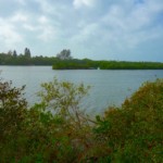 Lemon Bay Preserve Venice