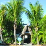 Pops Sunset Grill Nokomis