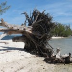 Boot mieten in Florida