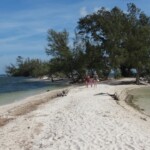 Boot mieten in Florida
