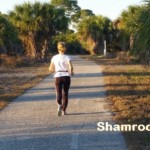 Shamrock Park Venice