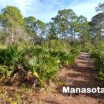 Manasota Scrub Venice