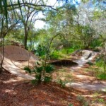 Alafia River Statepark