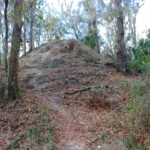 Alafia River Statepark