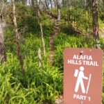 Alafia River Statepark
