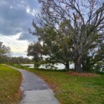 Alligator Creek Venice