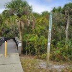 Alligator Creek Venice