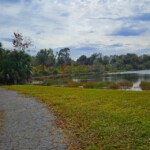 Alligator Creek Venice